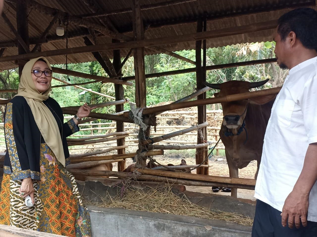 Calon Walikota Cirebon Nomor Urut 2 Eti Herawati Komitmen Kembangkan Kampung Tematik