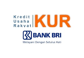 Langkah demi Langkah Cara Pengajuan KUR BRI Lewat Website Kur.bri.co.id