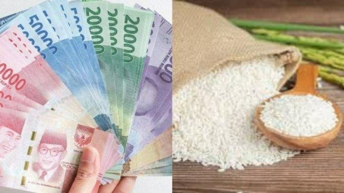 Info Update Jadwal Pencairan BLT atau Bansos Kemensos: Kapan PKH dan BPNT Cair?