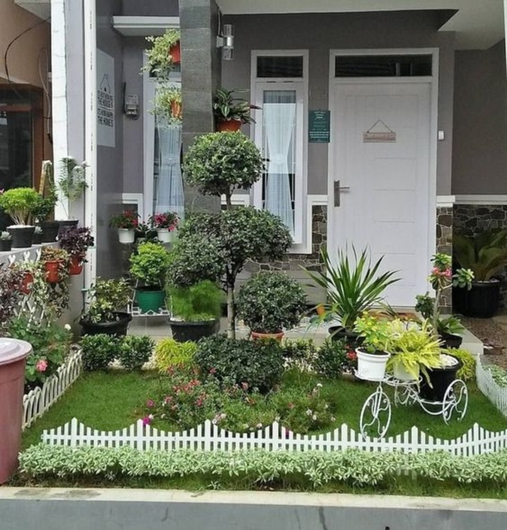 Wah Ternyata Ini Rahasia Elegansi Eksterior! 6 Inspirasi Pot Tanaman untuk Menghiasi Fasad Rumah 