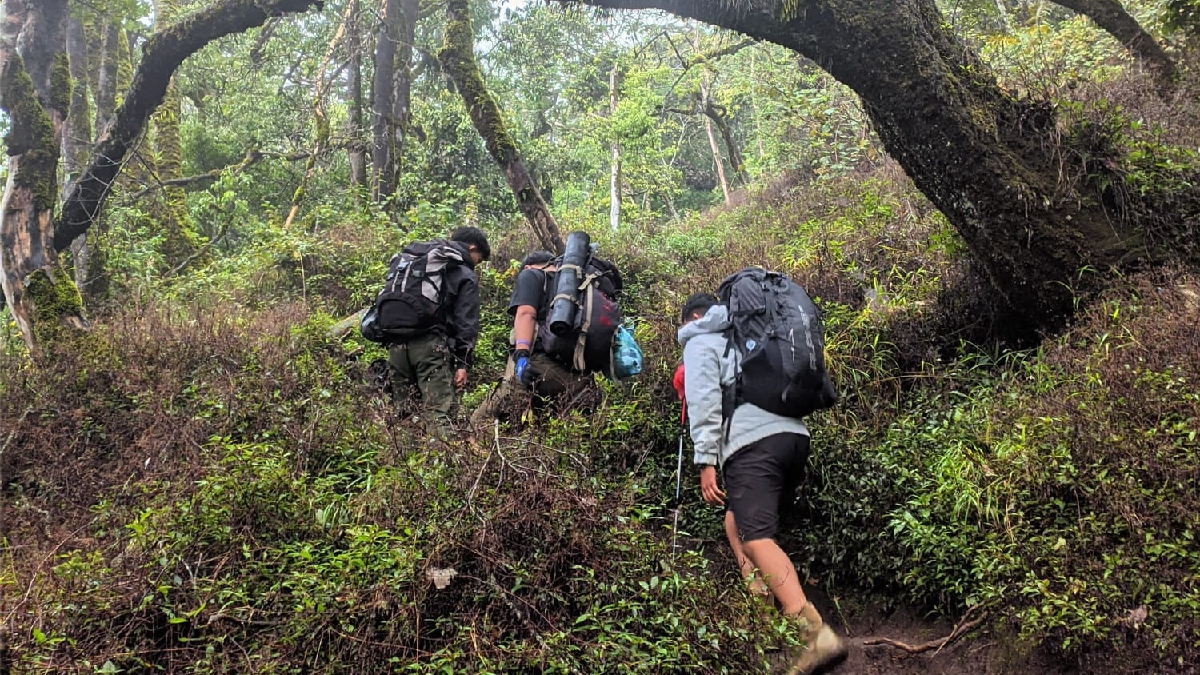 Jumlah Pendaki Gunung Ciremai Menurun Drastis, Harga Tiket Jadi Penyebab Utama