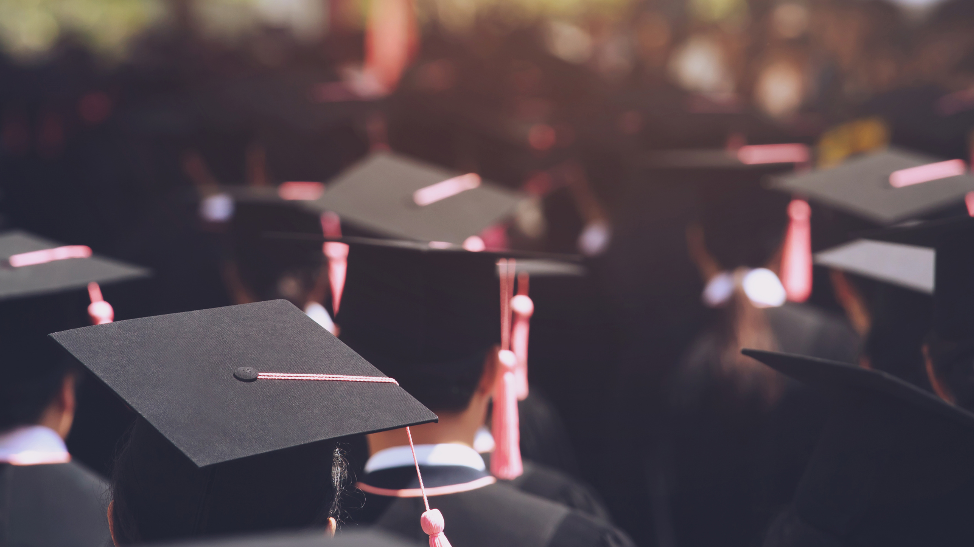 6 Program Beasiswa Kuliah Gratis Pemerintah Untuk Jenjang Perguruan Tinggi