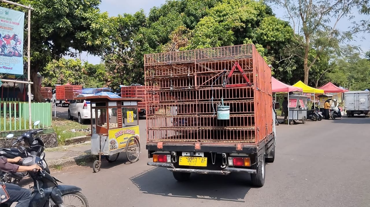 Pedagang Ayam Unjuk Rasa, Harga Masih Meroket, Idul Adha Bisa Tanpa Opor Nih... 