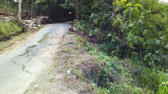  Warga Desa Ciuyah Menanti Perbaikan Jalan Rusak Selama Bertahun-Tahun