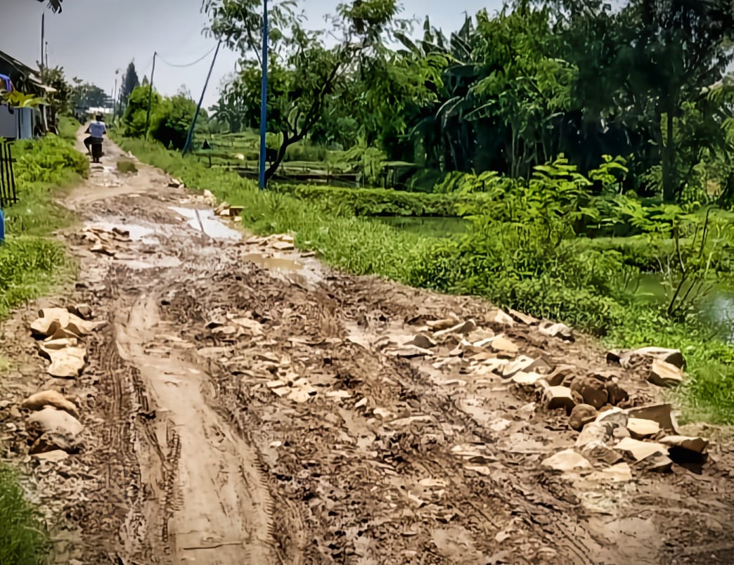 DPRD Desak DPUTR Perbaiki Jalan Rusak Penghubung Kapetakan dan Gegesik