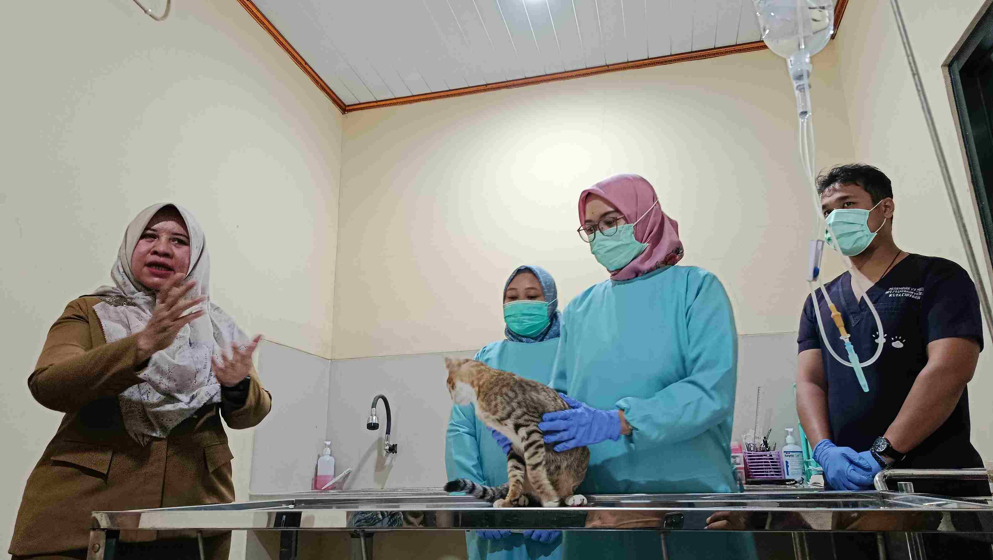 Layani Pemeriksaan Hewan Peliharaan, Puskeswan Ikut Sumbang PAD