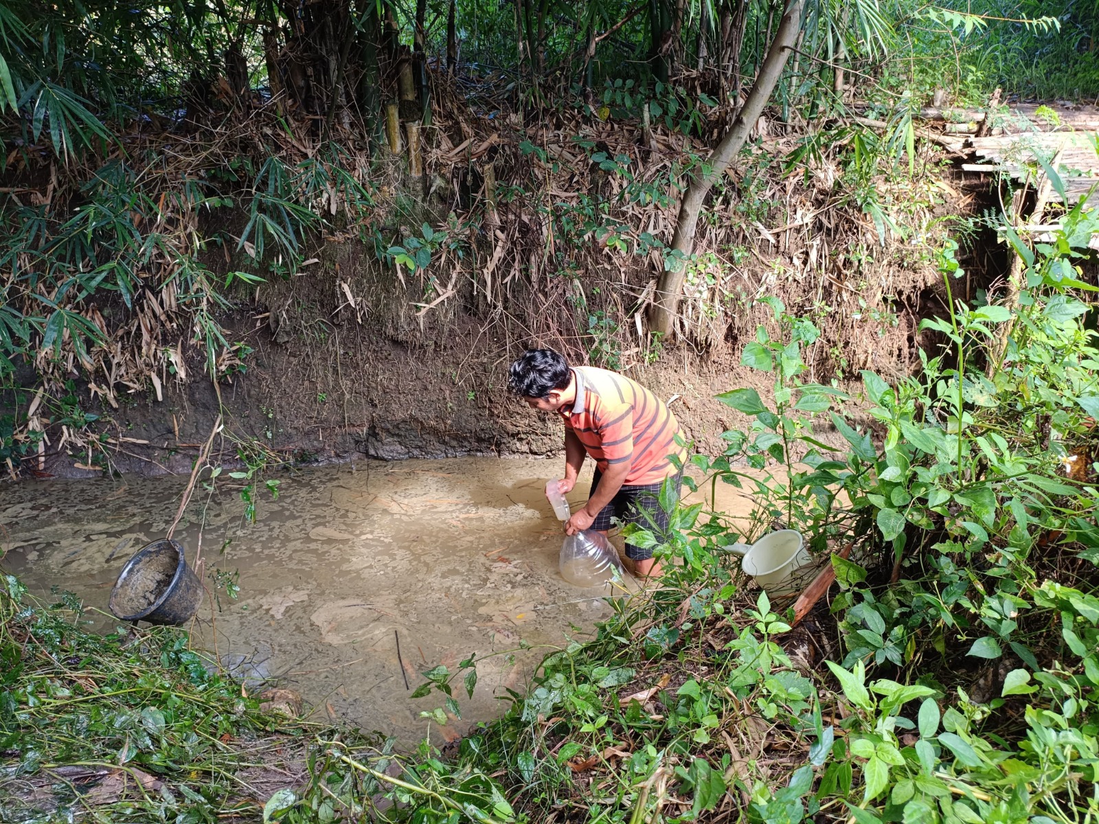 Minyak Goreng Cemari Sungai Argasunya, Ayam Mati Usai Minum Air Sungai Tercemar Minyak
