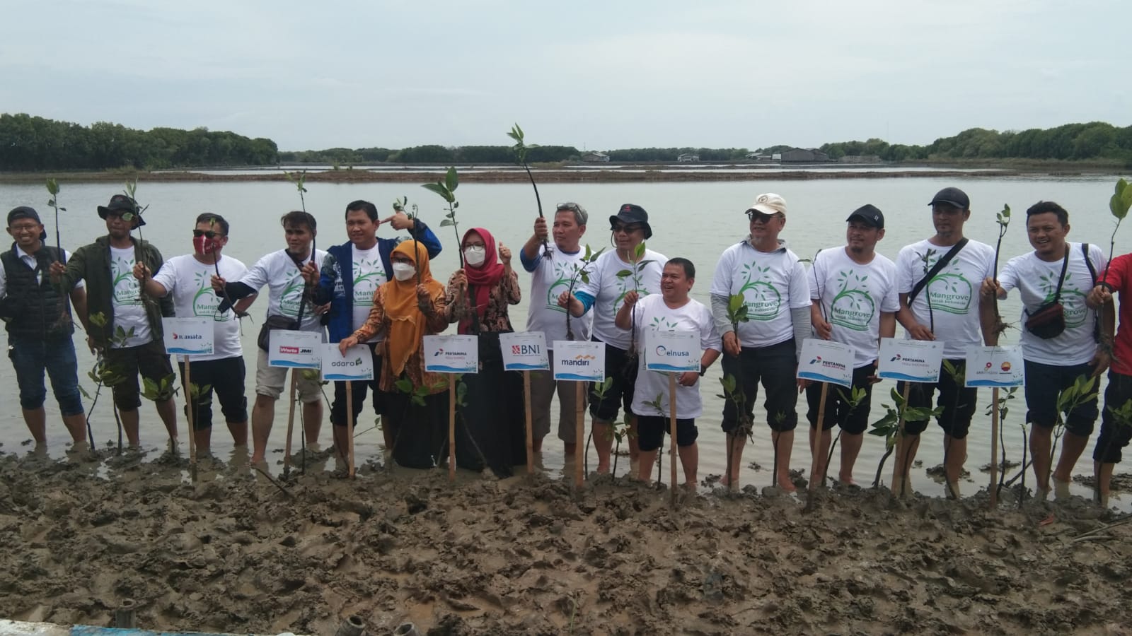 JMI Tanam Mangrove di Wilayah Rawan Abrasi Desa Ambulu