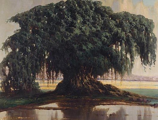 Bisa Menjadi Solusi Alami Cegah Banjir, 3 Tanaman yang Bisa Menyerap Banyak Air 