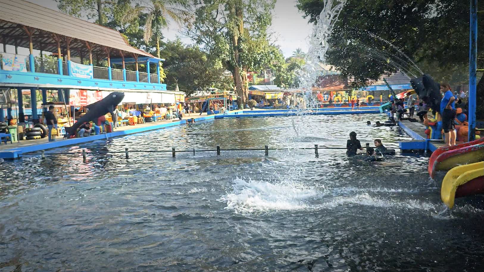 Berenang Bersama Ikan Dewa! Inovasi Baru Taman Narayana dan Situ Batu Gajah Percantik Wisata Cibulan