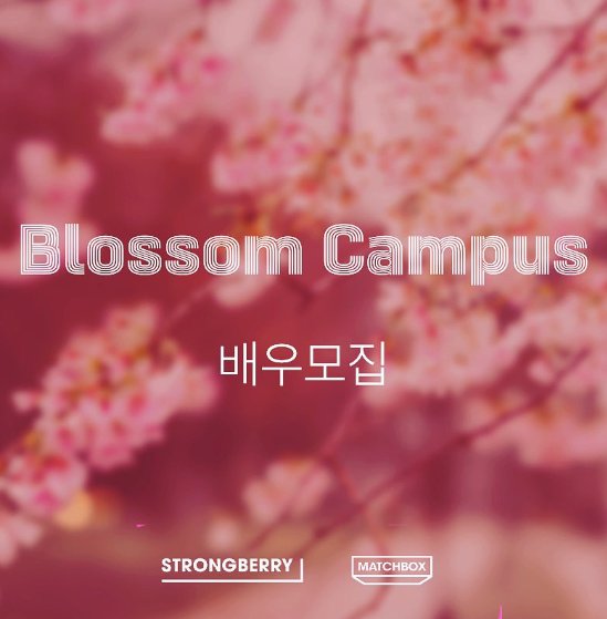 Sinopsis Drama Korea Terbaru Blossom Campus, Siap Tayang Bulan Maret 2024