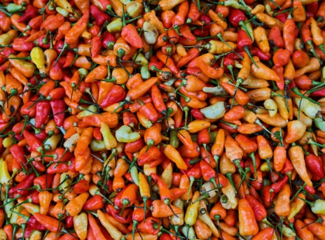 Harga Bahan Pangan Hari Ini Turun: Cek Harga Cabai Hingga Beras