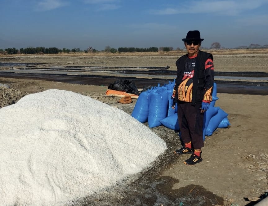 Petani Garam di Cirebon Merugi, Stok Melimpah, Dijual Murah 