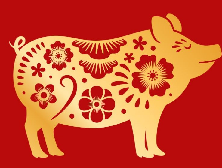 Peruntungan Shio Babi di Tahun Kuda Api 2026, Keuangan dan Percintaan 