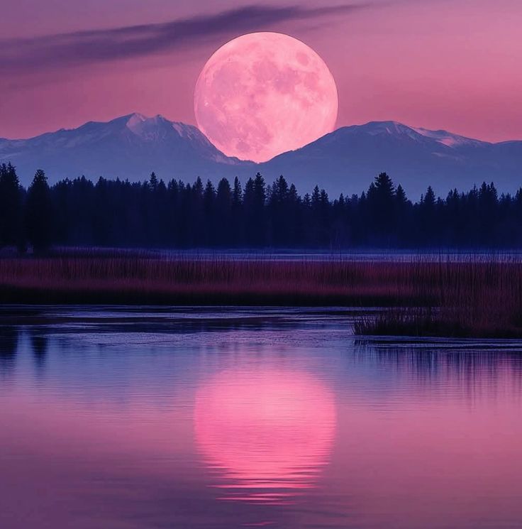 Mengenal Perbedaan Fenomena Pink Moon dengan Supermoon Lainnya