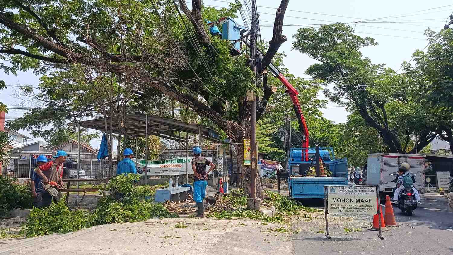 DPRKP Rapikan Pohon di Pintu Masuk Taman Nuansa Majasem