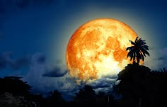 Fakta Menarik Purnama Buck Moon yang Wajib Kamu Tahu
