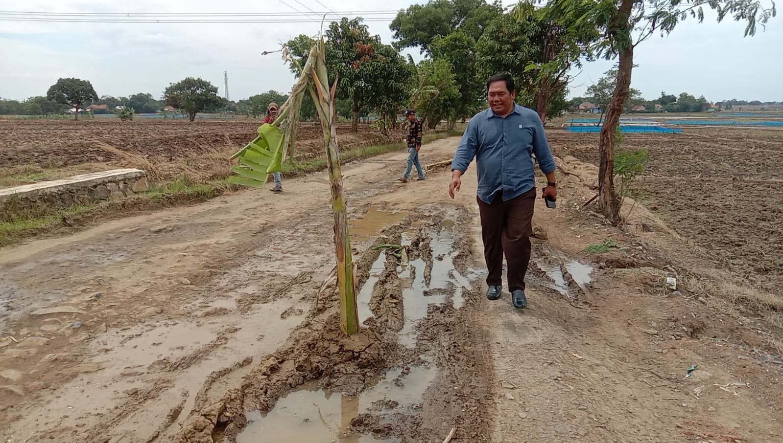 Warga Protes, Sulap Jalan Jadi Kebun Pisang dan Pemakaman