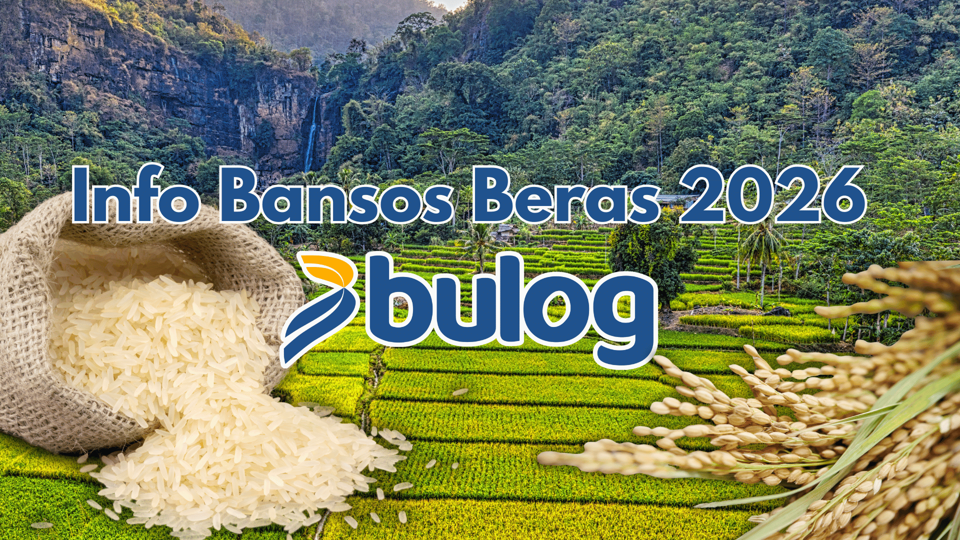 Bansos Beras 2026 Kembali Hadir! Simak Info Selengkapnya