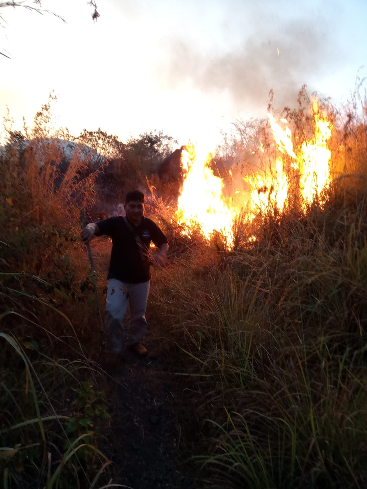 7,25 Hektare Lahan Ciremai Terbakar