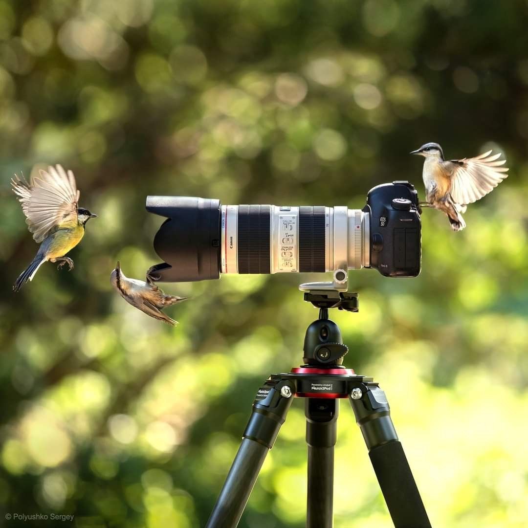 Cara Setting Kamera Vlog Lama Agar Hasilnya Mirip Kamera Kekinian, Bikin Konten Tetap Keren dan Tajam!