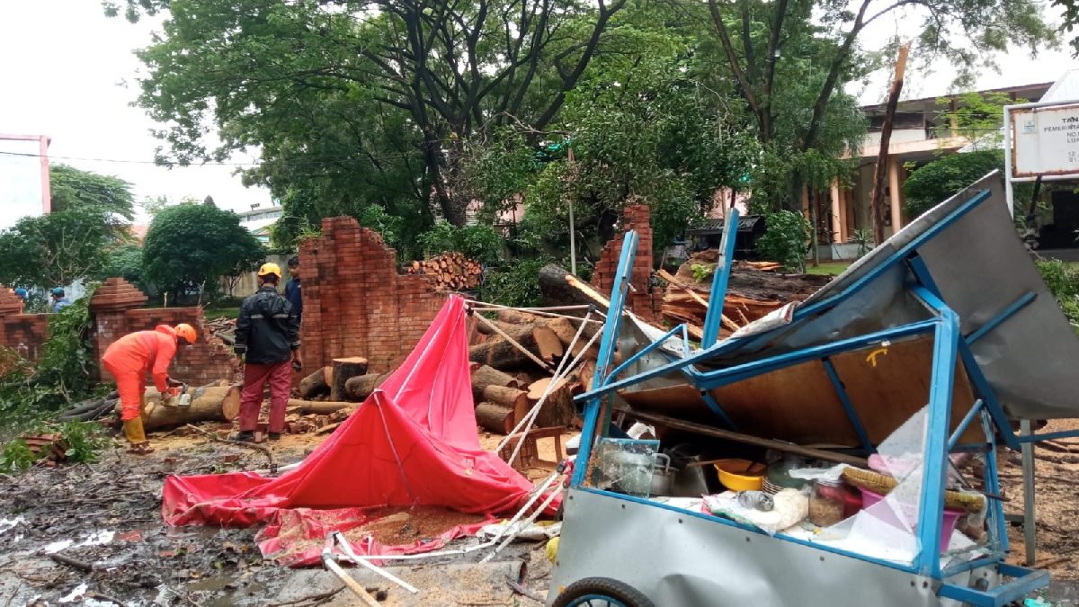 Pohon Besar Timpa Pasutri di Area Gedung Kesenian Rarasantang Kota Cirebon