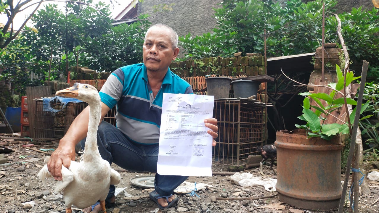 Tiga Tahun Angsa Hilang, Warga Sumber Lapor Tetangga Sendiri ke Polisi