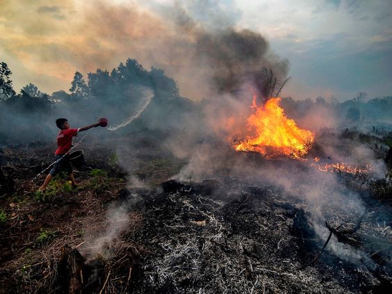 Kebakaran Seluas 5 Hektar Lahan di Cilacap Diduga Akibat Puntung Rokok