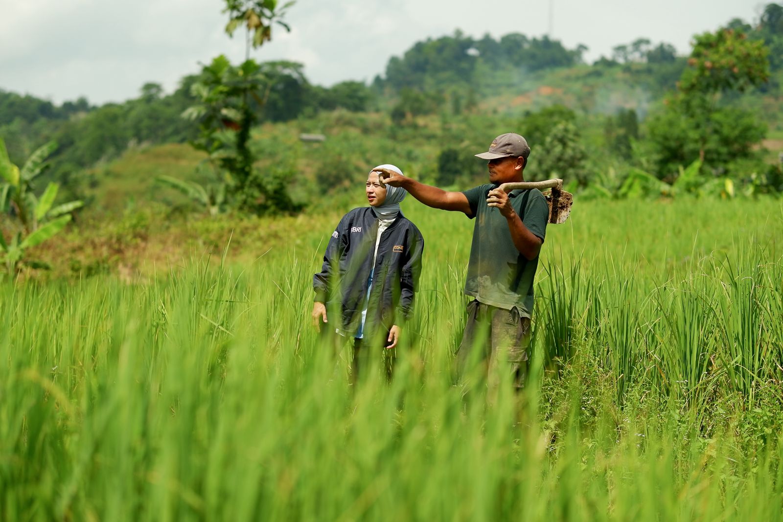 BRI Salurkan KUR Rp27,72 Triliun dalam 2 Bulan, Bukti Keberpihakan Nyata untuk UMKM dan Ekonomi Rakyat