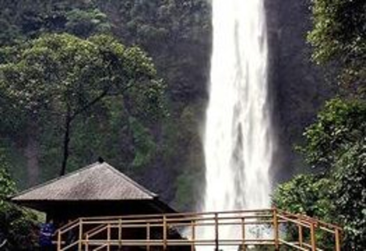 Wisata Curug Cimahi Surga Tersembunyi di Tengah Hutan di Bandung, Segini Harga Tiket Masuknya!