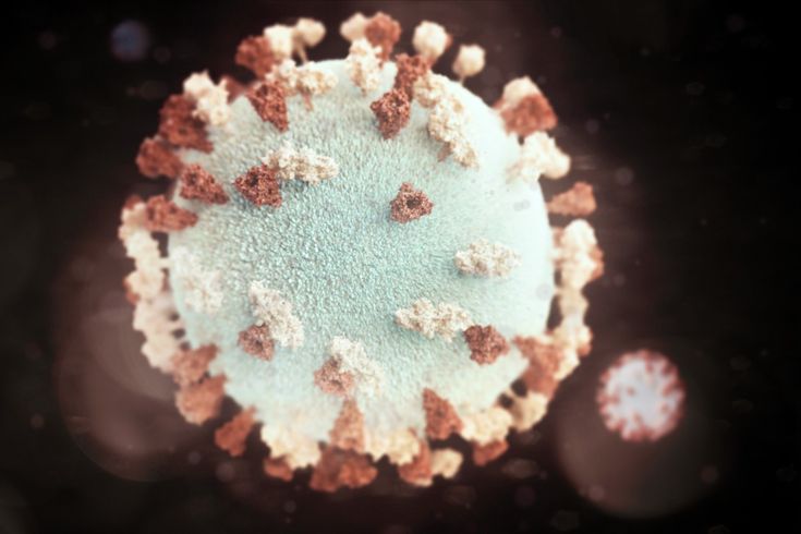 Tanda-Tanda Terinfeksi Virus Hanta dan Bedanya dengan Flu Biasa