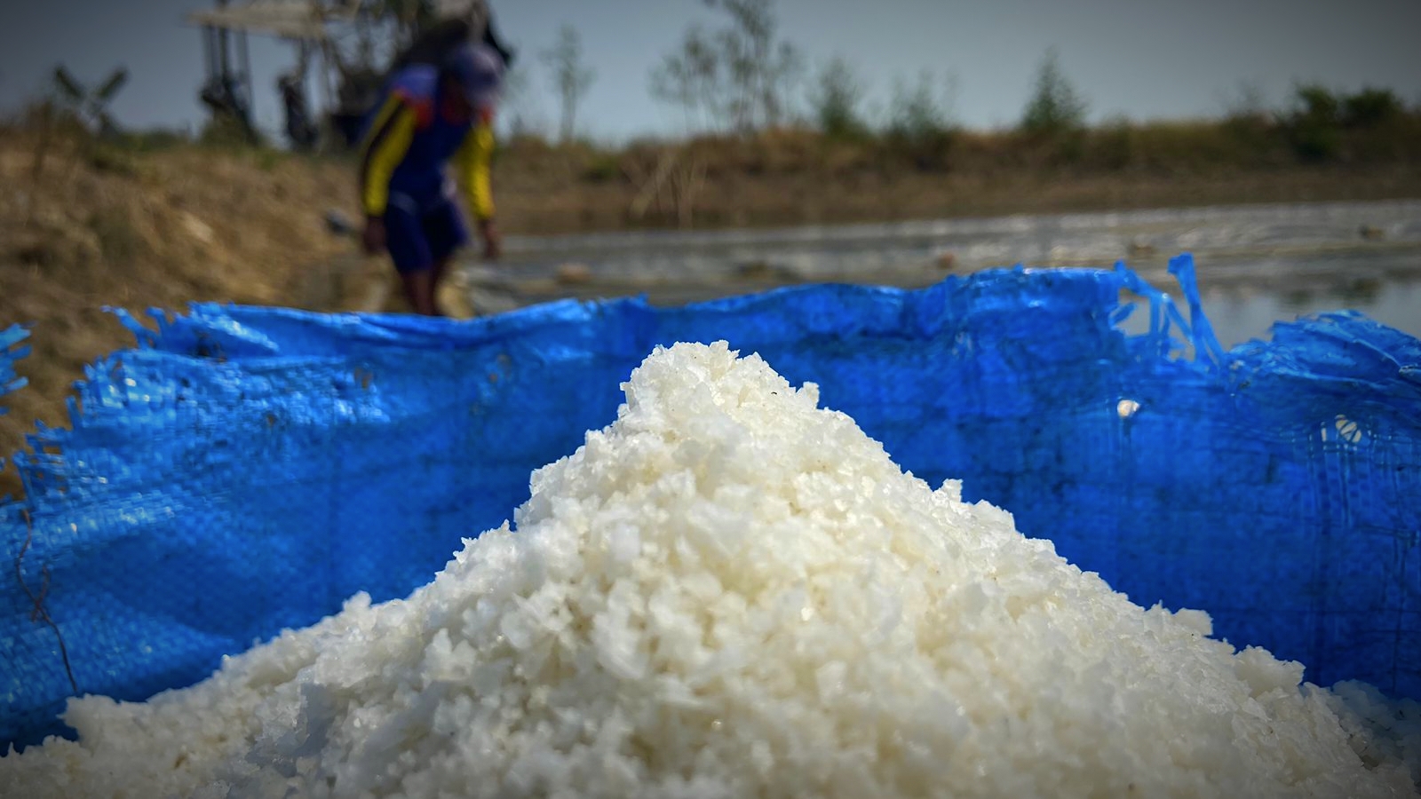 Harga Garam Dikendalikan Tengkulak