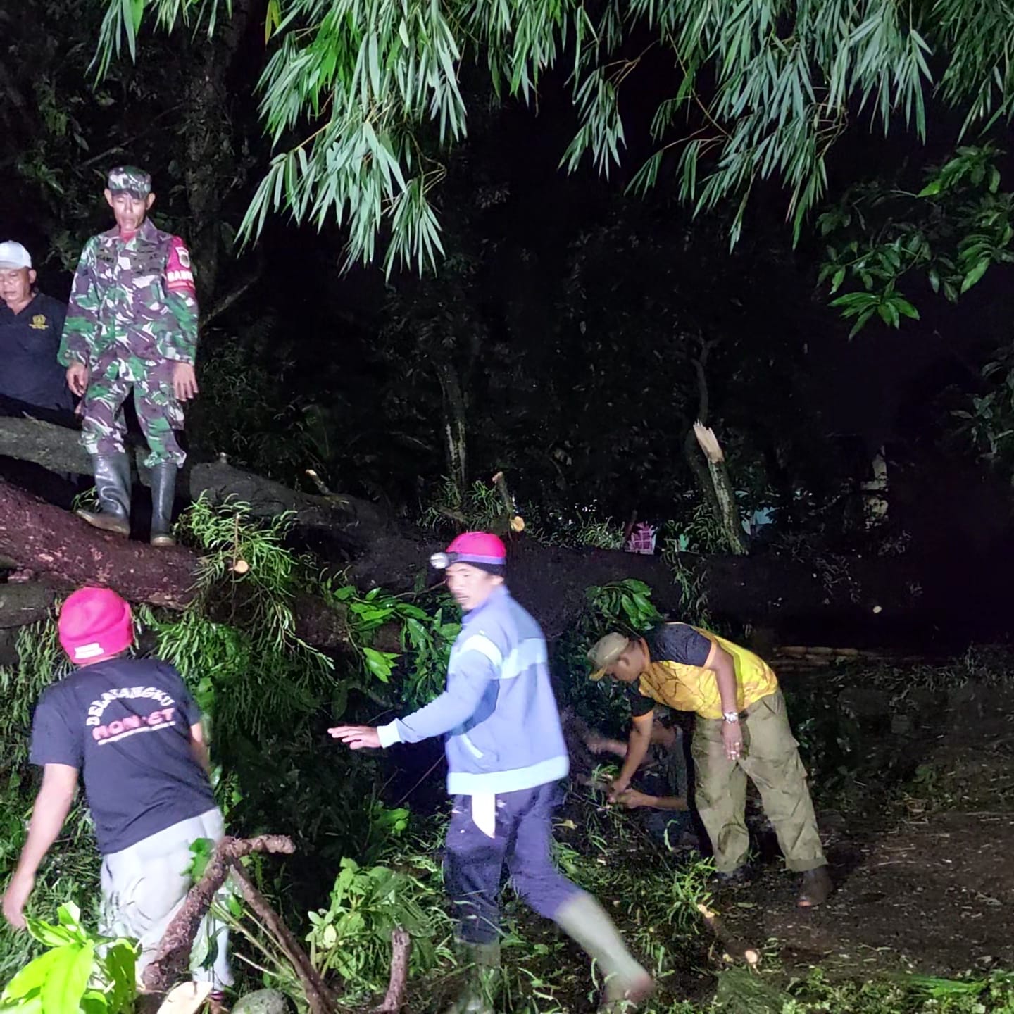 Diterjang Hujan dan Angin, Rumah Warga di Desa Kerandon Kabupaten Cirebon Tertimpa Pohon