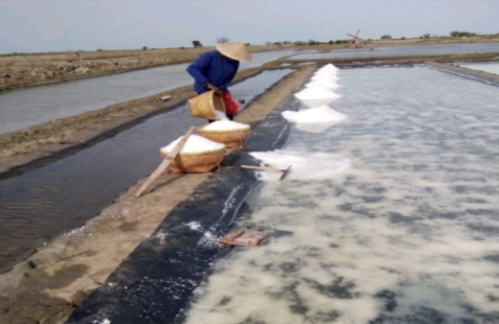 Penguatan Industri Garam Ciayumajakuning sebagai Penggerak Perekonomian Masyarakat Pesisir