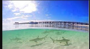 5 Tempat Wisata Sulawesi Selatan yang Terpopuler, Alamnya Menajubkan