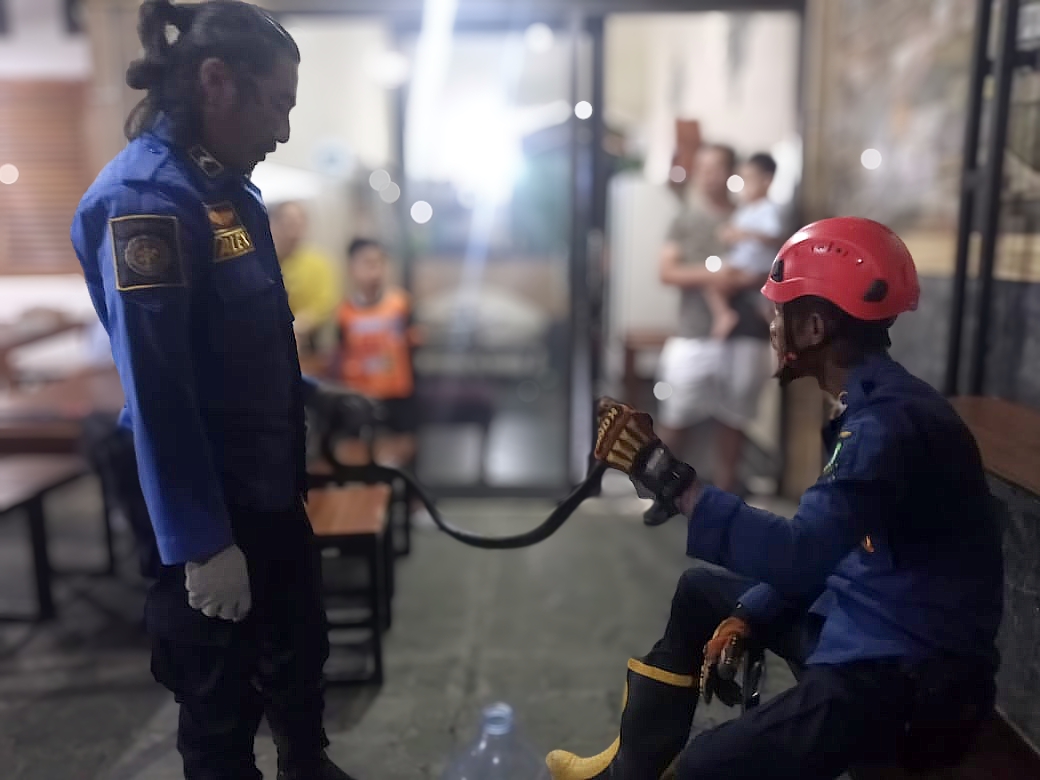 Ular Masuk Warkop, 10 Menit di Evakuasi Damkar