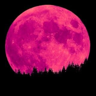 Mengenal Fenomena Pink Moon: Asal-usul Nama dan Makna di Baliknya