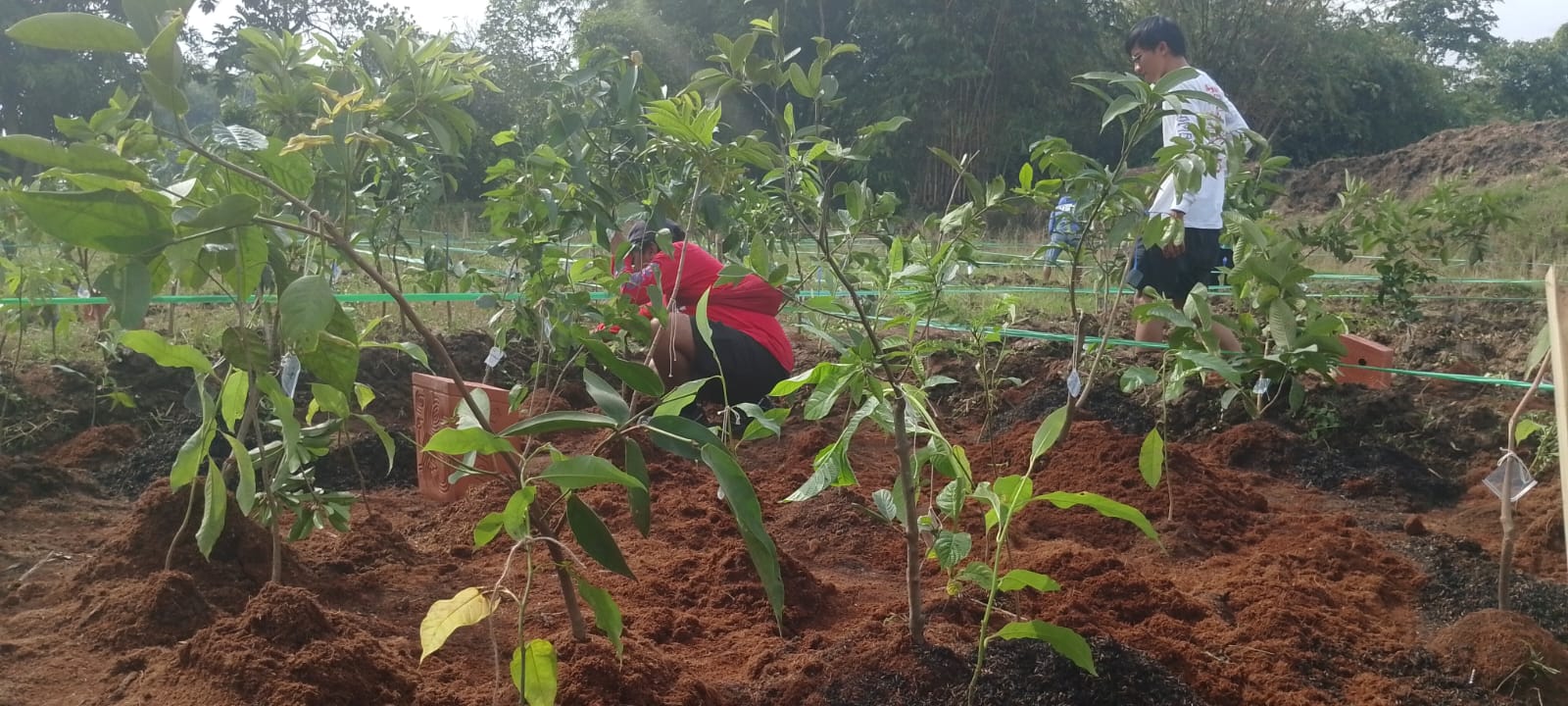 JaF Memungkinkan Semua Orang Miliki 