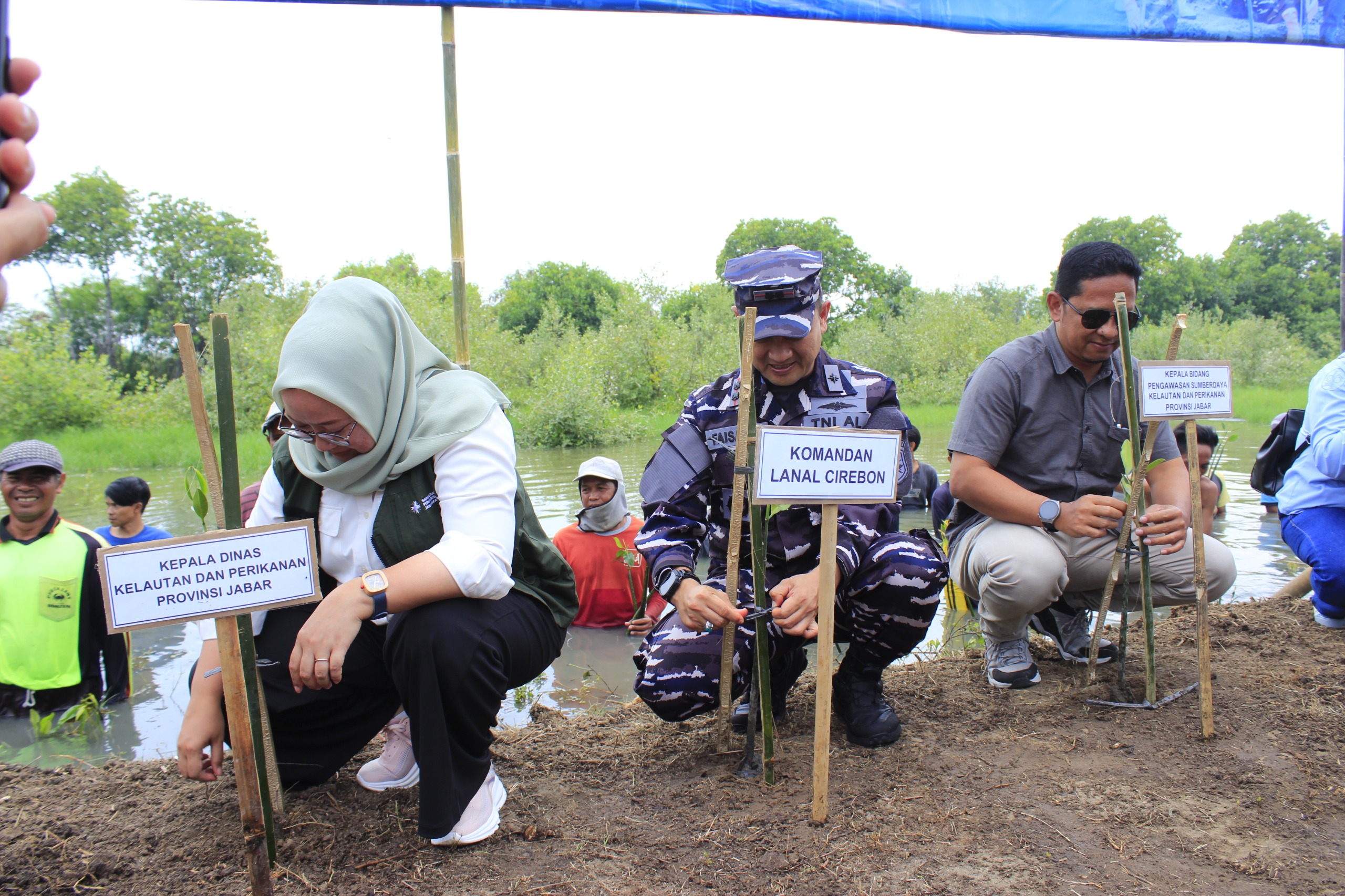 Lanal Cirebon dan DKP Jabar Sinergi Jaga Ekosistem Pesisir Utara Jawa Barat
