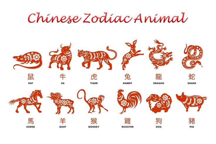 Prediksi Shio 2026: Apa Shio Kamu dan Bagaimana Nasibmu Tahun Ini?