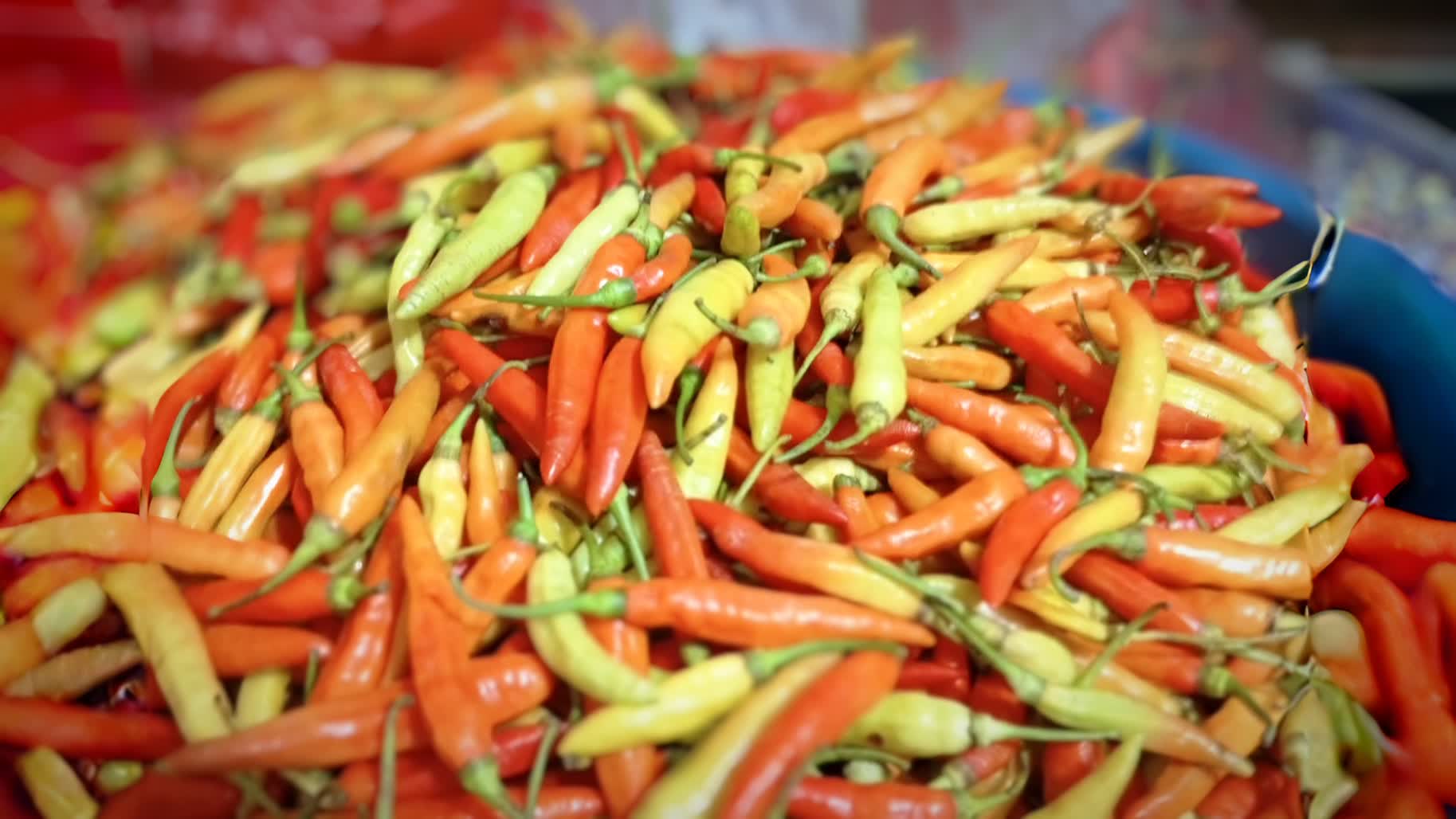 Harga Cabai Rawit 'Jablay' Tembus 100ribu Jelang Lebaran