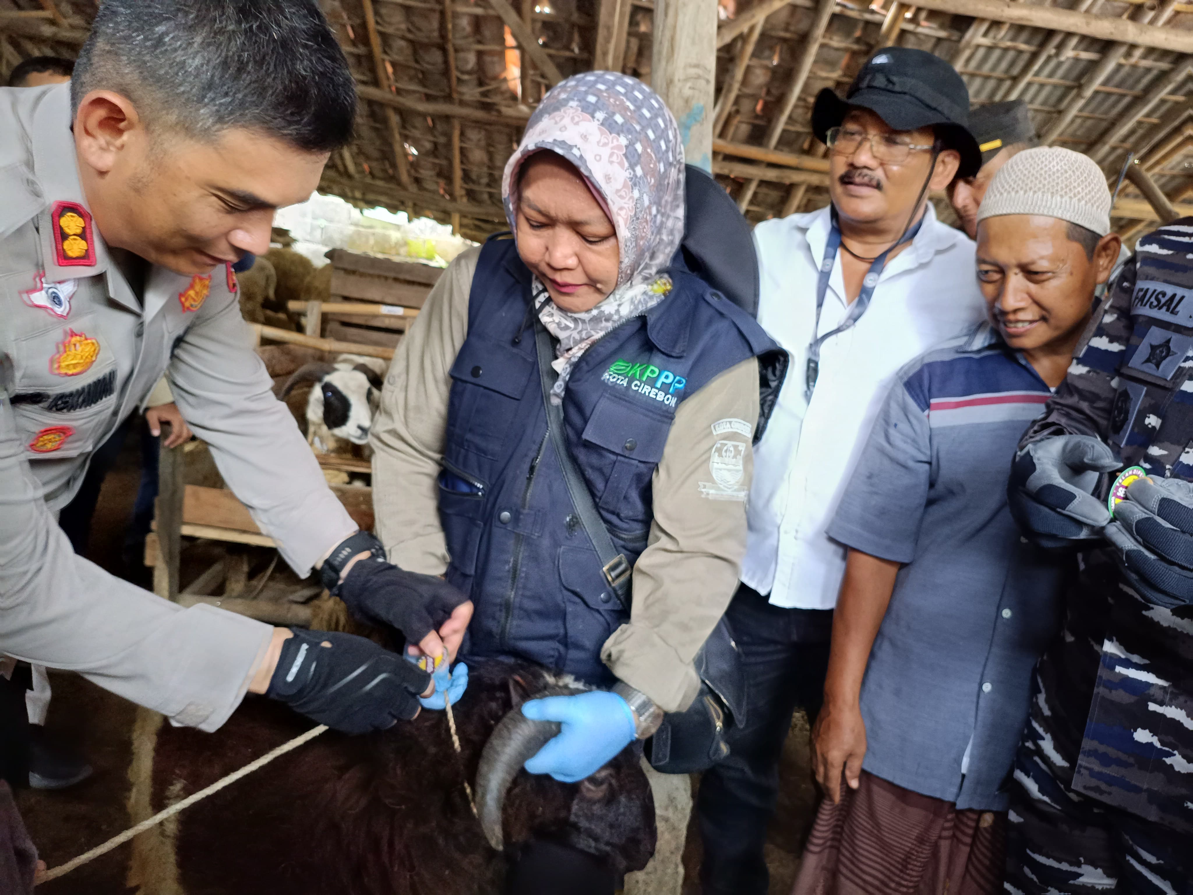 Kapolres Cirebon Kota Ikut Pantau Hewan Kurban, Kalung Sehat Jadi Tanda