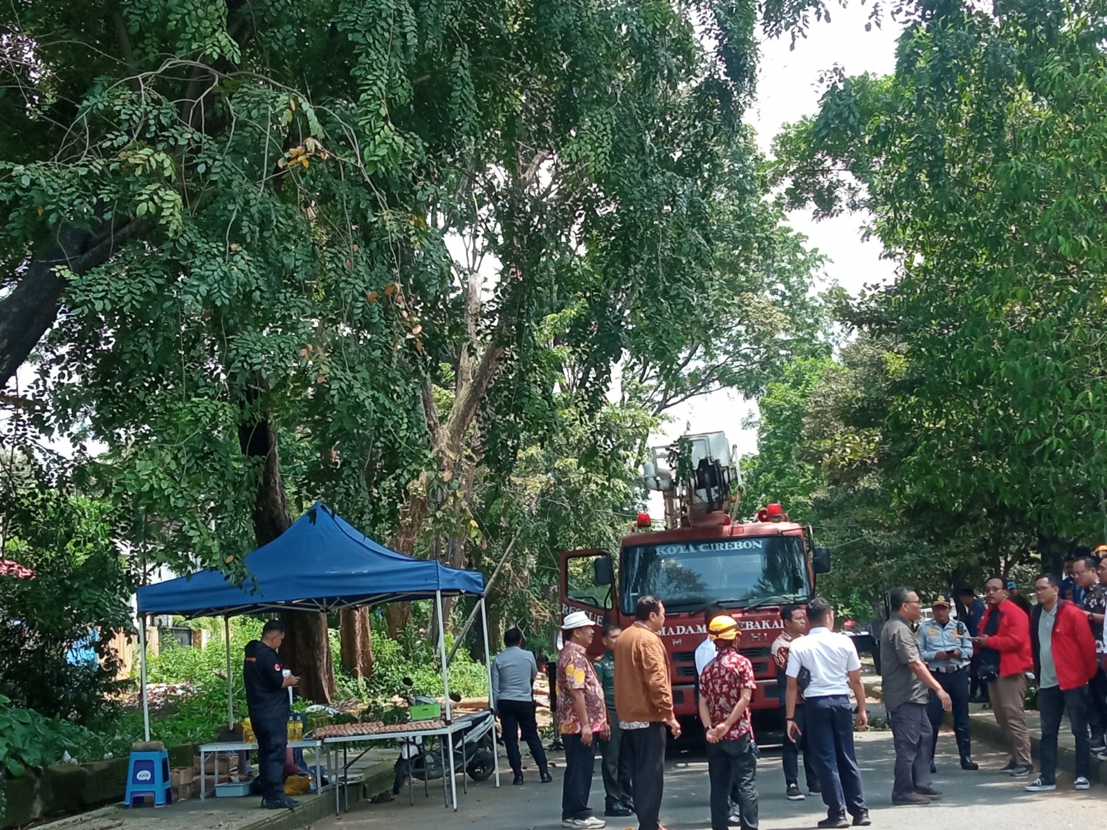 Walikota Edo Cirebon Pantau Langsung Pemangkasan Pohon di Stadion Bima