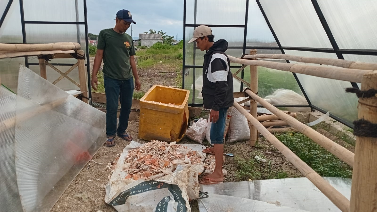 Milenial Desa Citemu Geluti Usaha dari Cangkang Rajungan