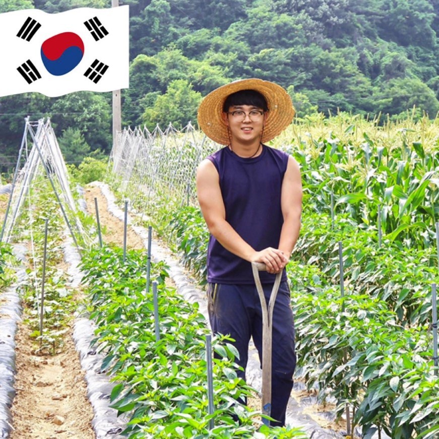 Pemuda Korea Ramai-ramai Pindah ke Desa, Jadi Petani, Alasannya untuk Masa Depan