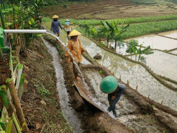 Dapat Bantuan Pengairan, Petani Bantarkawung Brebes Tak Lagi Andalkan Hujan