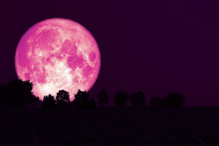 Fenomena Langit April 2026: Ada Pink Moon hingga Hujan Meteor