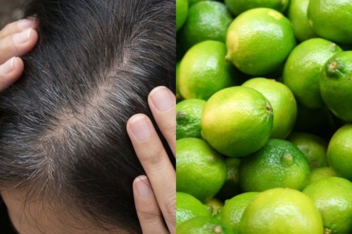 INILAH Tips Menghilangkan Uban di Rambut Menggunakan Jeruk Nipis Tanpa Bahan Kimia!