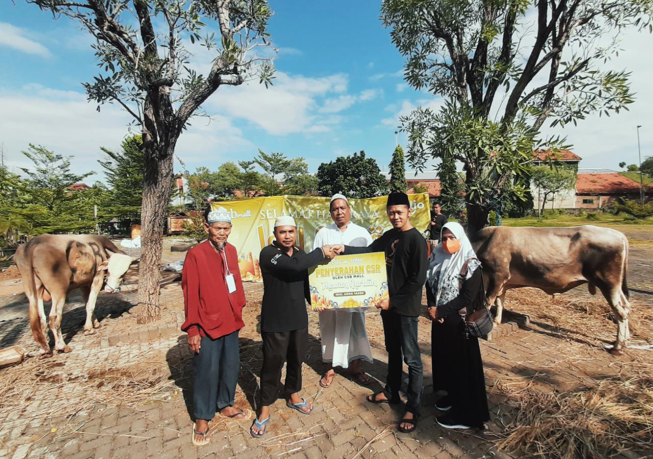 CSB Mall Salurkan Dua Ekor Sapi Qurban ke Masjid Az-Zaytun