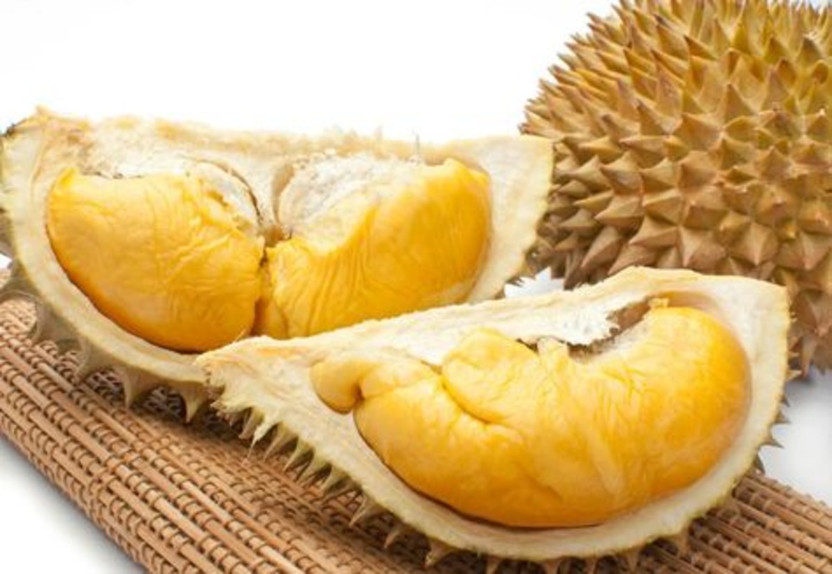 Berburu Kuliner Durian di Bandung, 4 Rekomendasi Tempat Makan Durian yang Wajib Dicoba Mulai Harga Rp 30 Ribu!